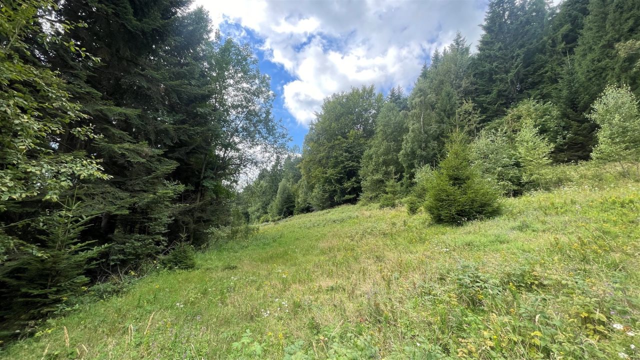 Działka rolna Krynica-Zdrój, ul. Zieleniewskiego. Zdjęcie 4