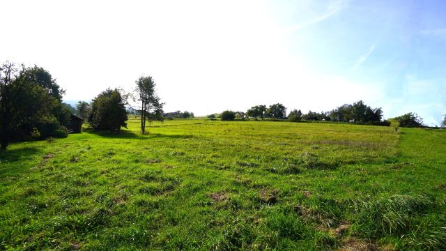 Działka rolna Szymbark. Zdjęcie 4