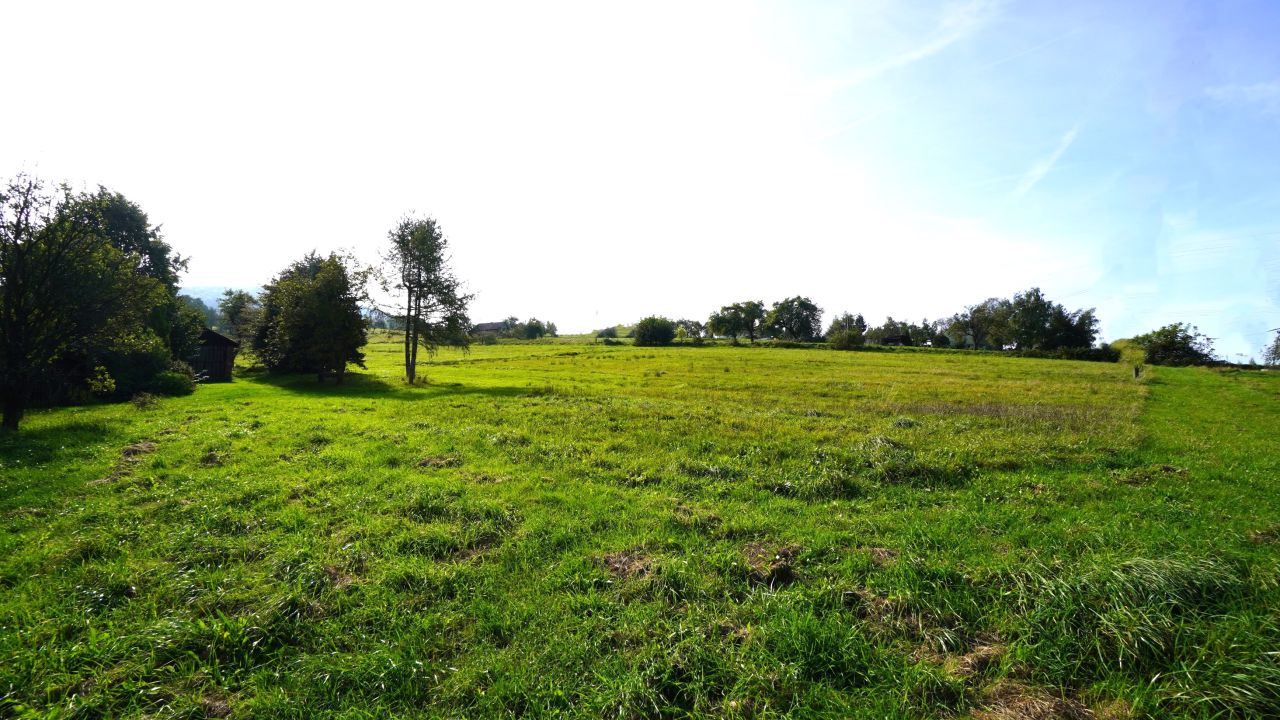 Działka rolna Szymbark. Zdjęcie 4