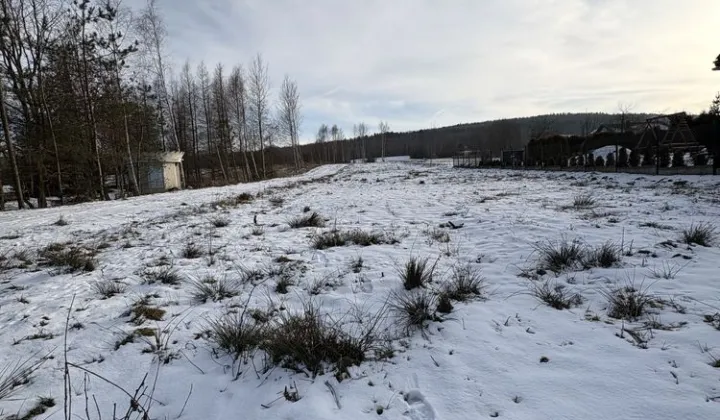 Działka budowlana Ciekoty