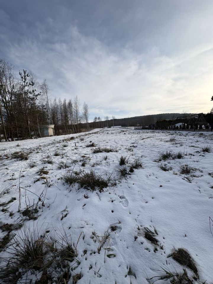 Działka budowlana Ciekoty. Zdjęcie 1