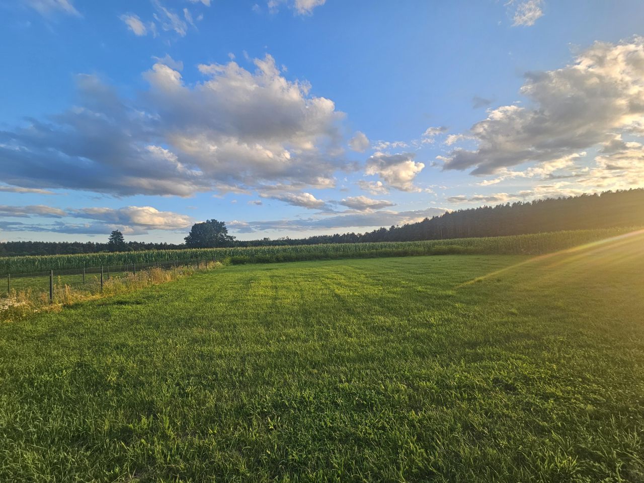 Działka budowlana Popiołki. Zdjęcie 3