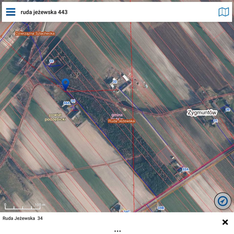 Działka leśna Ruda Jeżewska. Zdjęcie 6