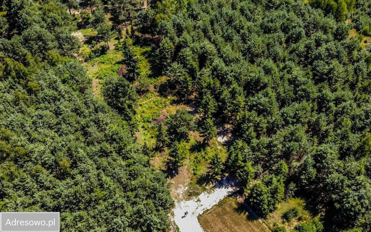 Działka rekreacyjna Borsuki-Kolonia. Zdjęcie 4