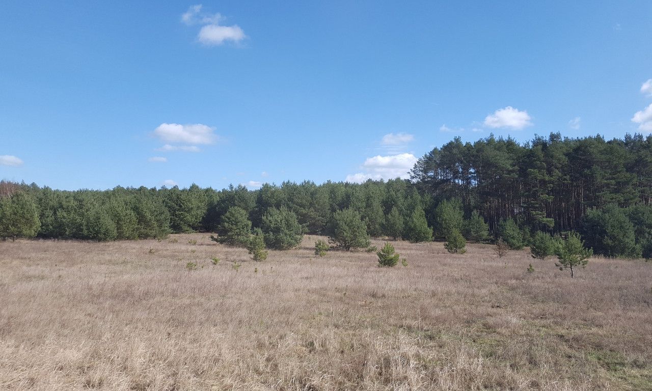 Działka rolna Silna. Zdjęcie 5