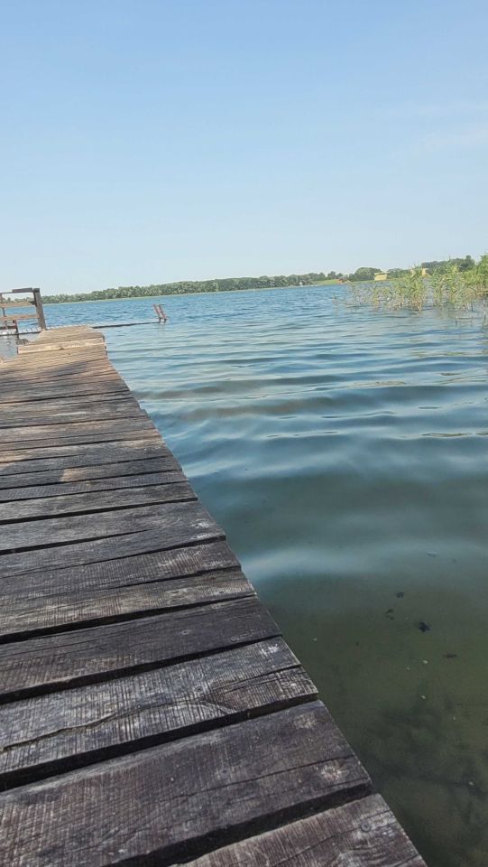 Działka rekreacyjna Leśniewo. Zdjęcie 5