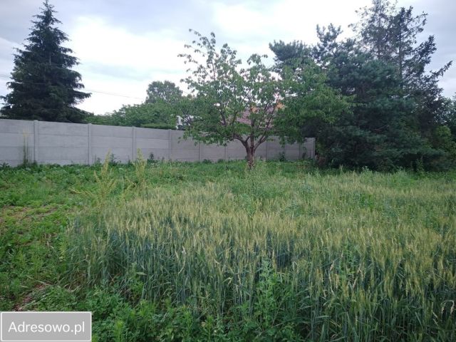 Działka budowlana Pierzyska. Zdjęcie 1