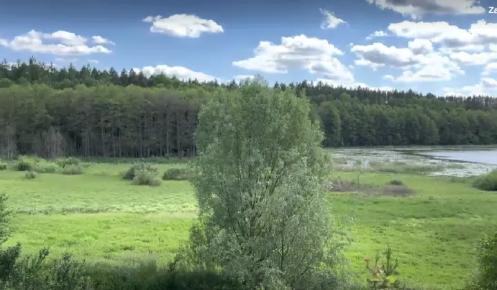 Działka budowlana Bolejny