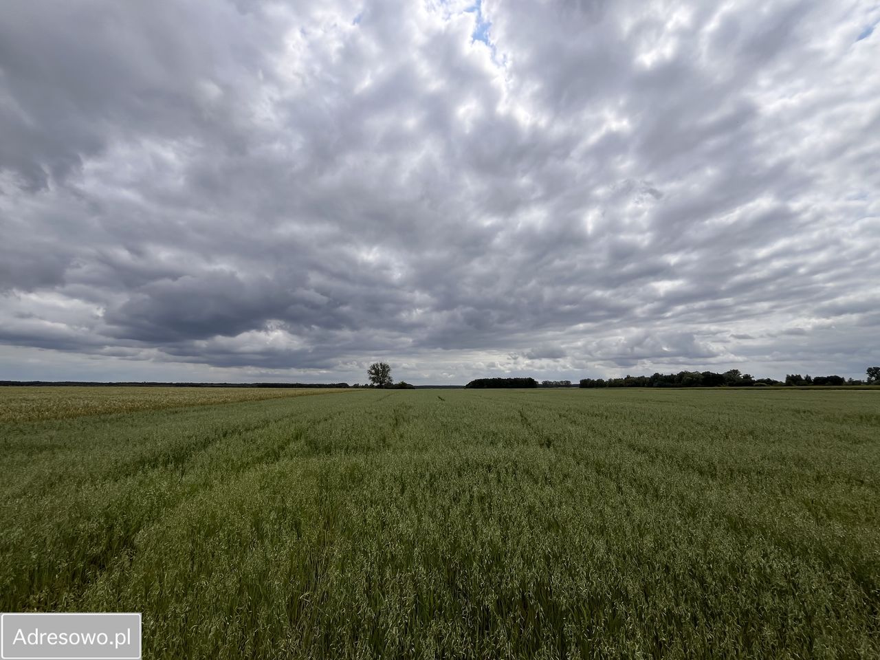 Działka budowlana Stara Góra. Zdjęcie 7