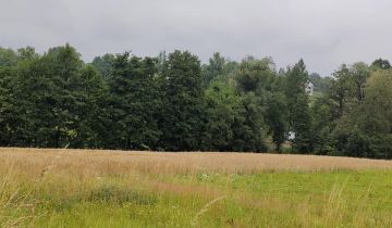 Działka budowlana Międzyświeć, ul. Jeżynowa