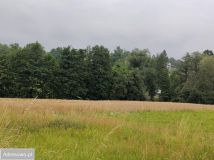 Działka budowlana Międzyświeć, ul. Jeżynowa