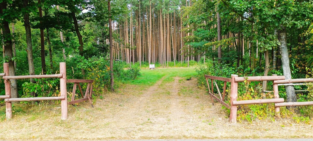 Działka rekreacyjna Budy Grabskie. Zdjęcie 2