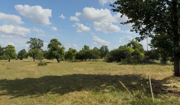 Działka siedliskowa Bałdrzychów