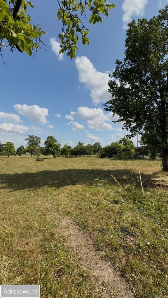 Działka siedliskowa Bałdrzychów. Zdjęcie 1