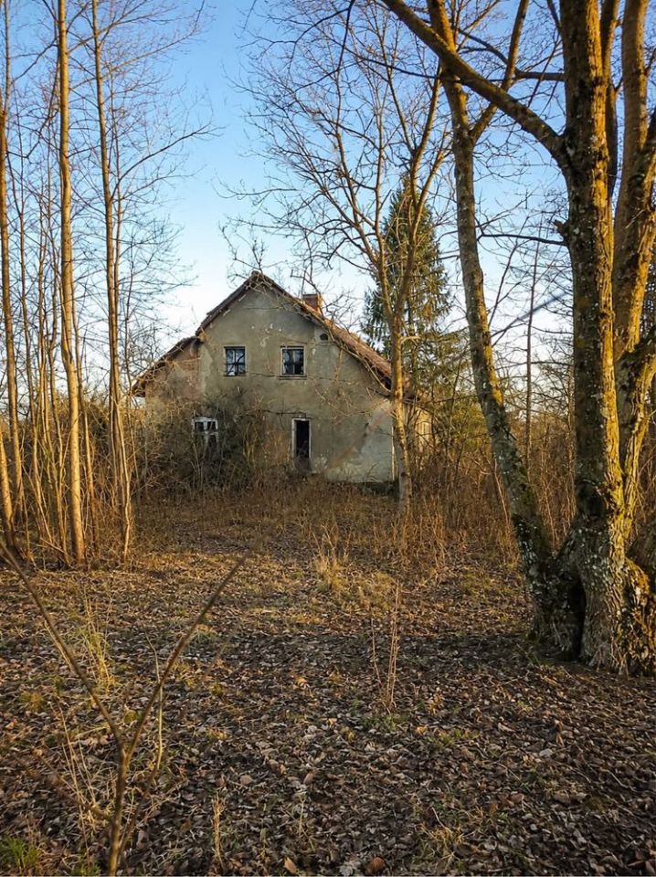 Działka siedliskowa Frączki. Zdjęcie 3