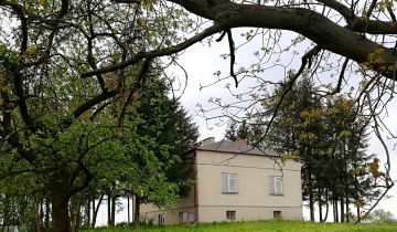 dom wolnostojący, 4 pokoje Alojzów