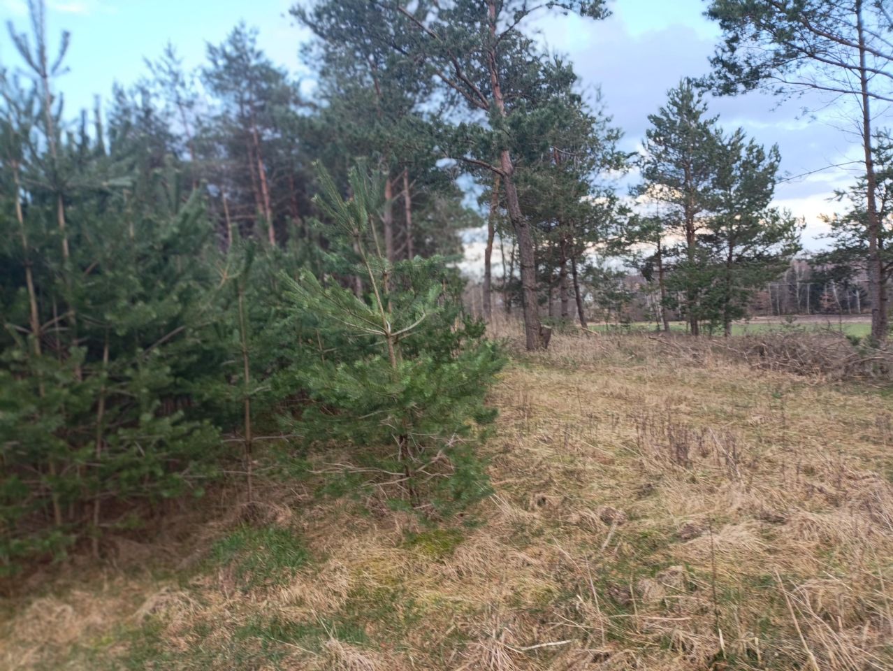 Działka budowlana Wylazłowo. Zdjęcie 6