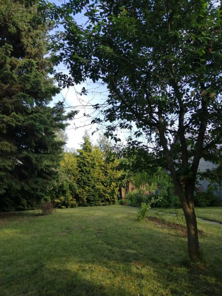 Działka rod Rzeszów, ul. Ciepłownicza. Zdjęcie 6