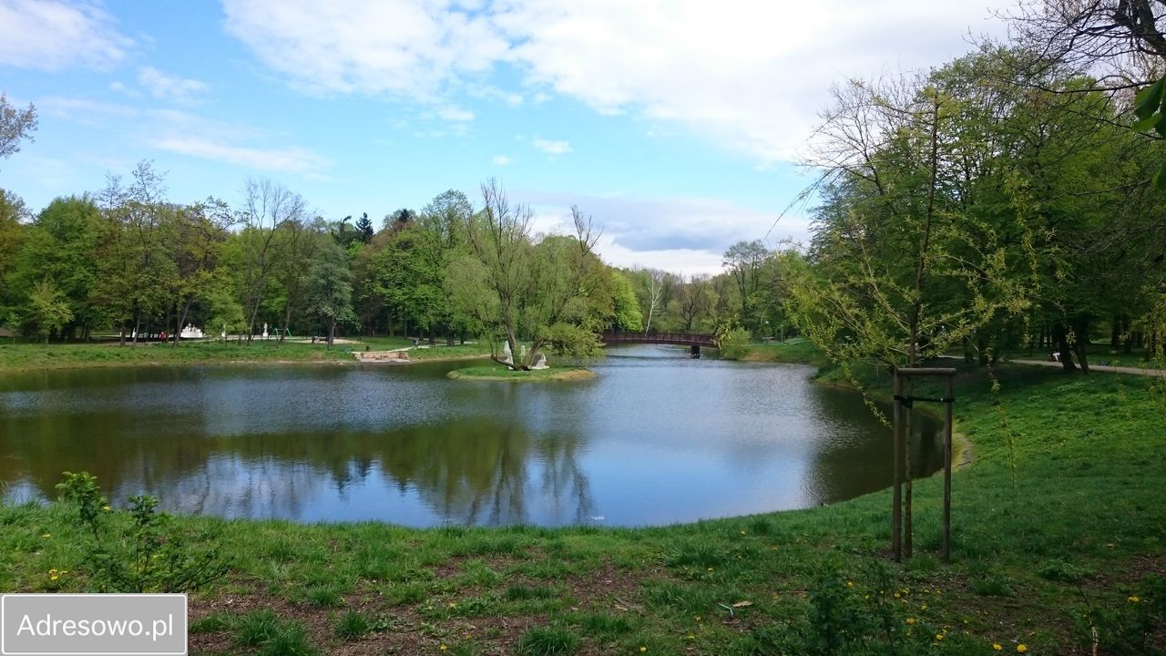 Mieszkanie 7-pokojowe Bytom Śródmieście. Zdjęcie 17