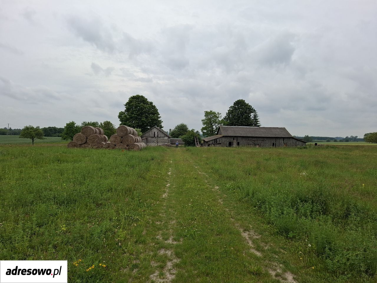 Działka siedliskowa Mogilnica. Zdjęcie 2