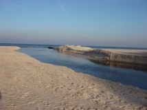 Działka rolna Dębki. Zdjęcie 4