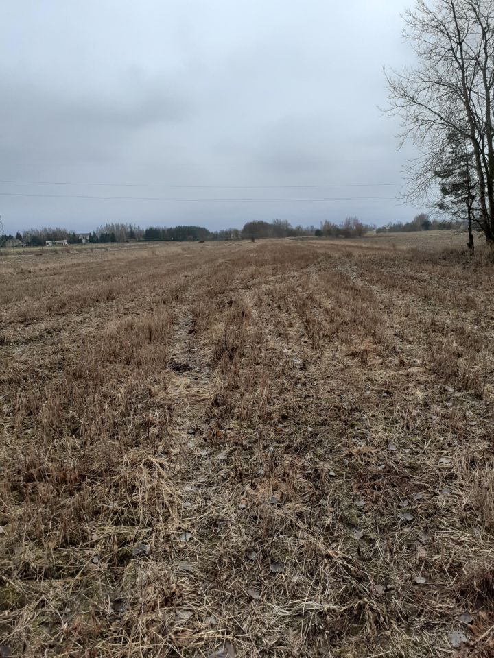 Działka budowlana Seroki-Wieś. Zdjęcie 3