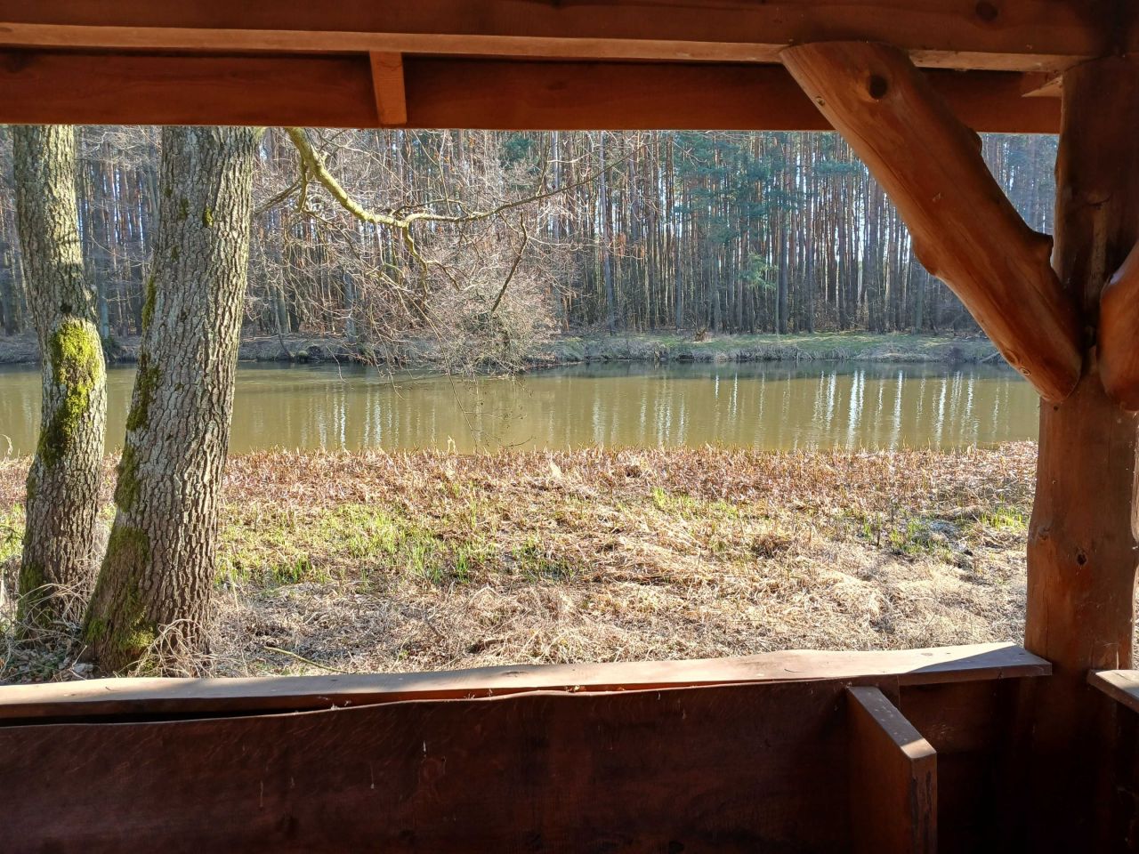 Działka inwestycyjna Przywóz. Zdjęcie 7