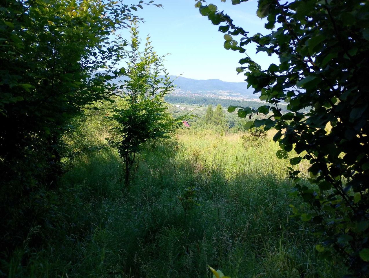 Działka rolna Wieprz. Zdjęcie 8