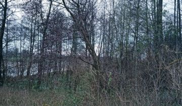 Działka rolna Włościbórz