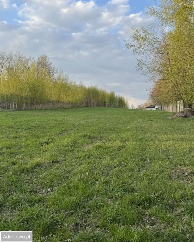 Działka budowlana Mikołów, ul. Młyńska. Zdjęcie 4