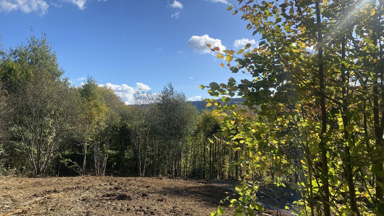 Działka budowlana Zakrzów. Zdjęcie 10