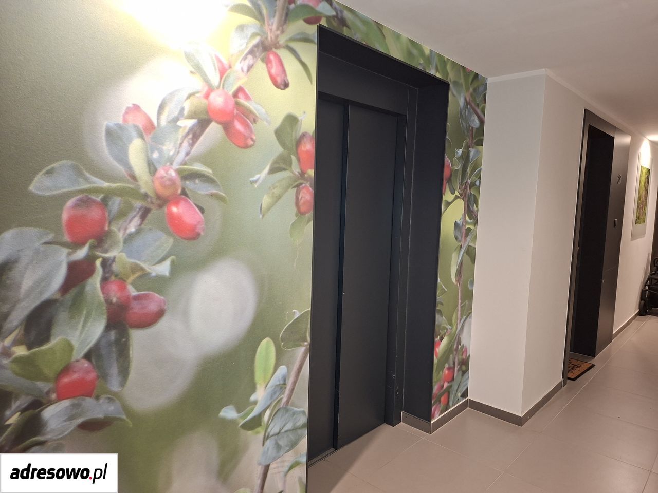 Mieszkanie 2-pokojowe Gdańsk Ujeścisko, ul. Wielkopolska. Zdjęcie 12