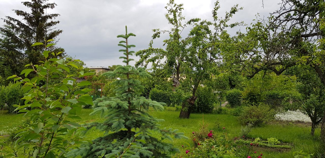 Działka rod Wrocław Psie Pole, ul. Toruńska. Zdjęcie 3