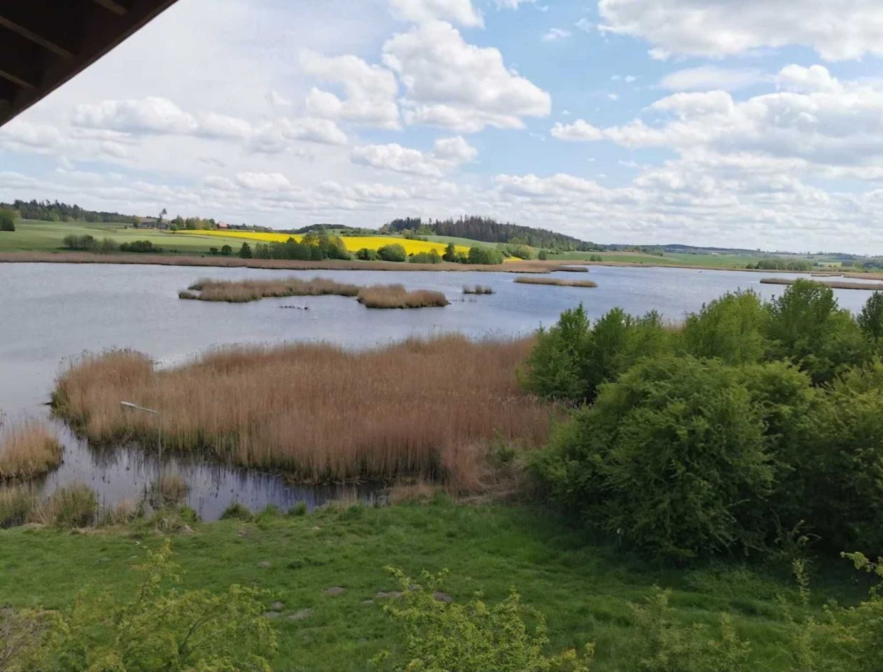 Działka budowlana Bartniki. Zdjęcie 2