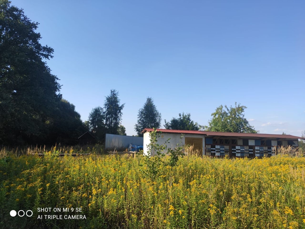Działka rolna Gorzów Śląski. Zdjęcie 1