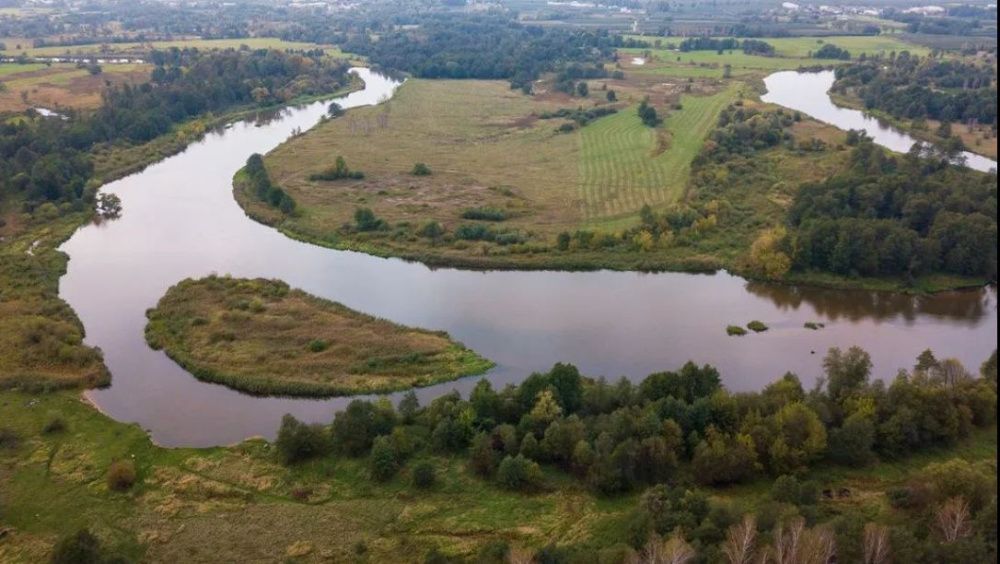 Działka rekreacyjna Biała Góra. Zdjęcie 7