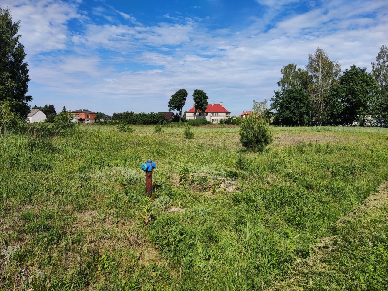 Działka rolna Krężna. Zdjęcie 3