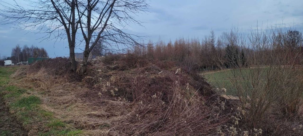 Działka rolno-budowlana Stanisławice. Zdjęcie 5