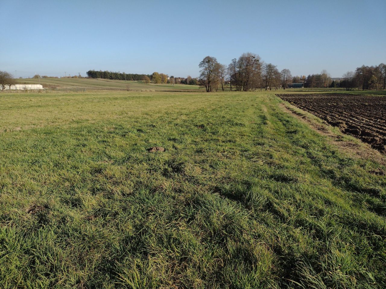 Działka inwestycyjna Czyżowice, ul. Nowa. Zdjęcie 2