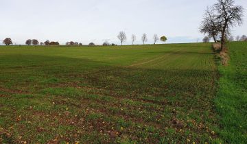 Działka rolna Gwiazdowo