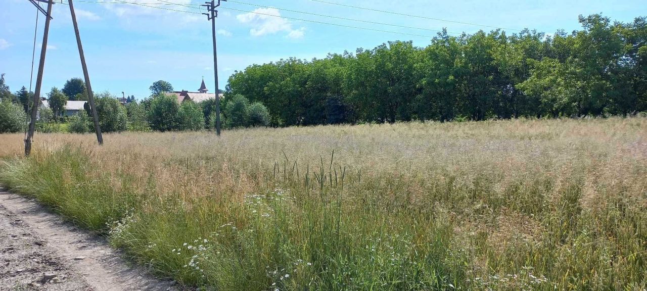 Działka rolno-budowlana Rozbórz. Zdjęcie 2