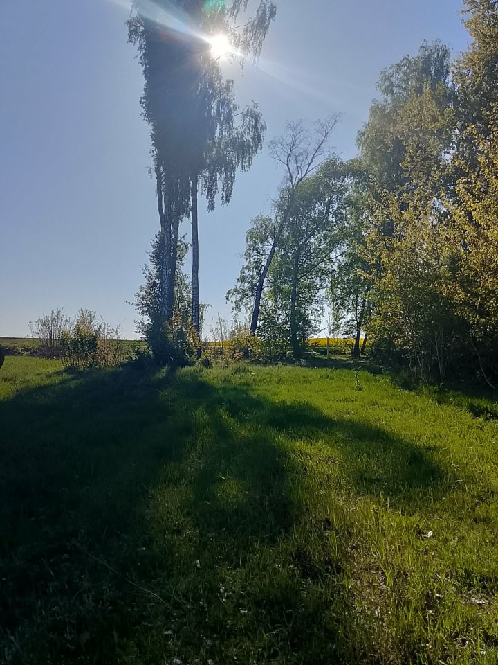 Działka budowlana Koziołki. Zdjęcie 2