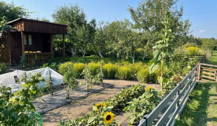 Działka rod Wrocław Krzyki