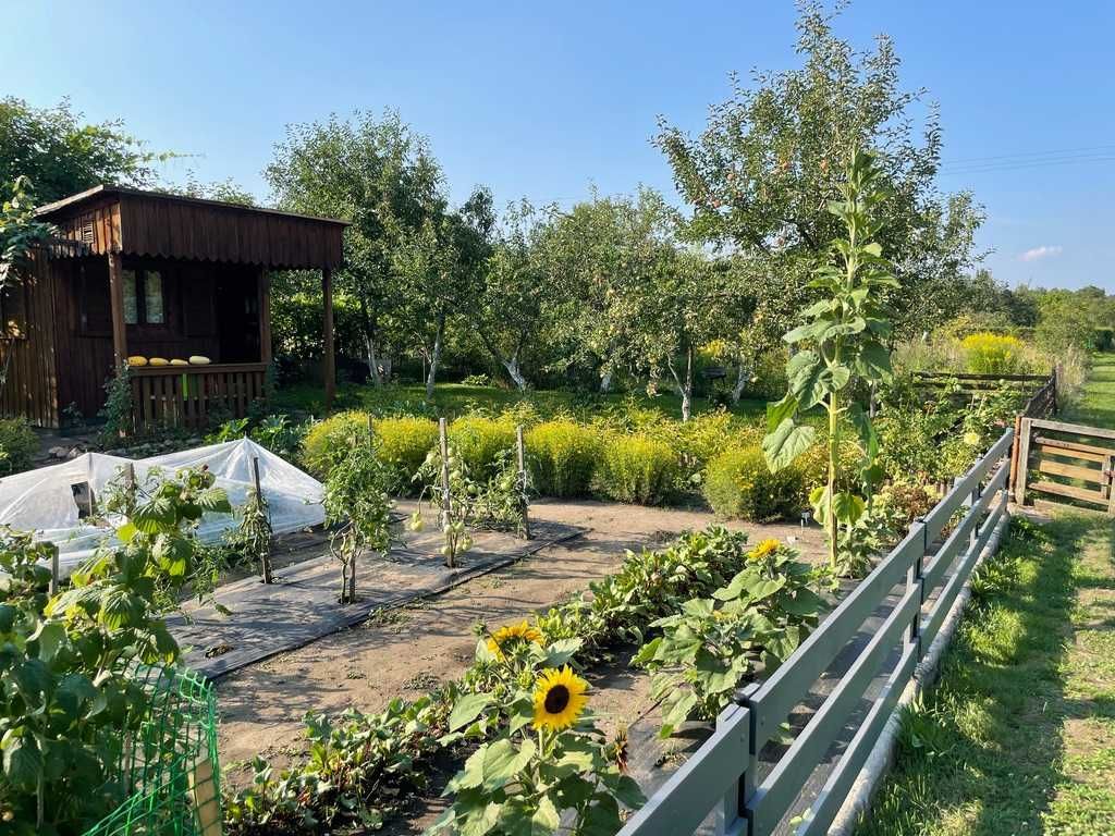 Działka rod Wrocław Krzyki. Zdjęcie 1