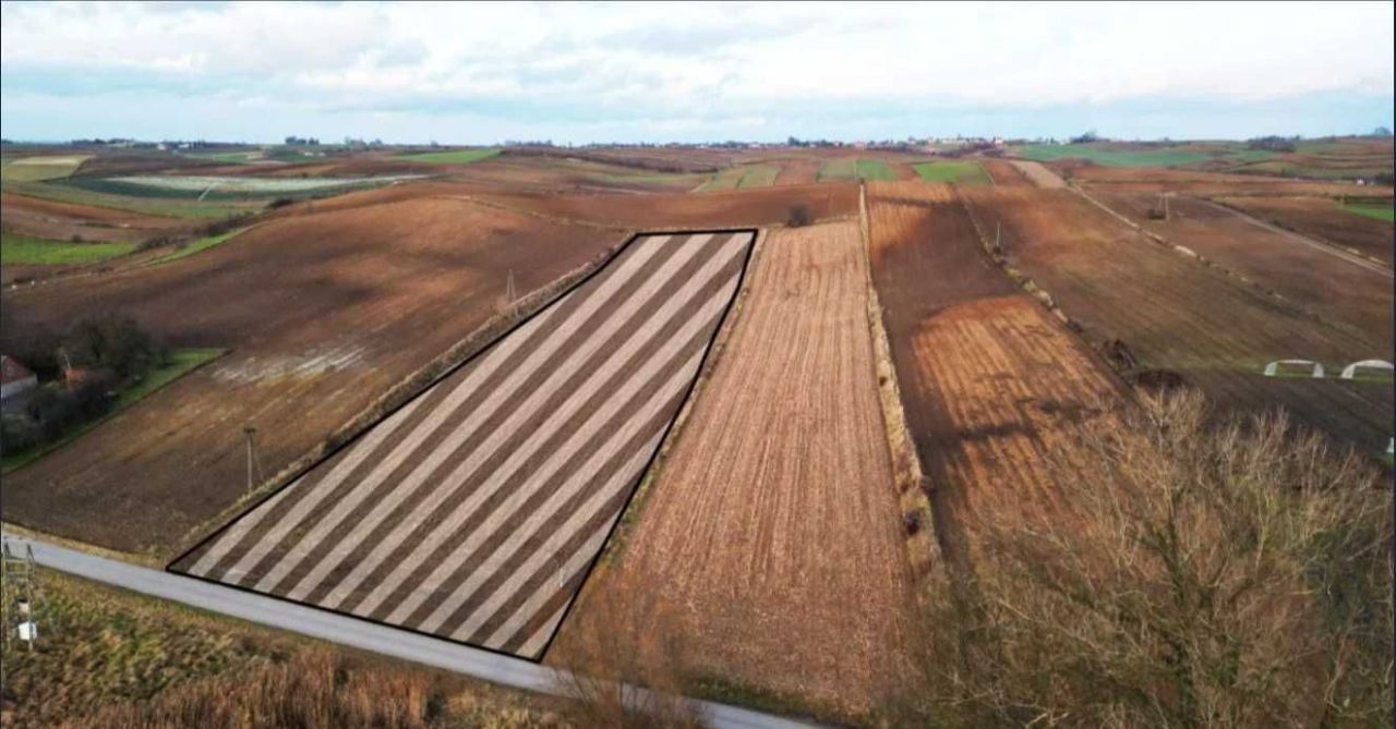 Działka rolno-budowlana Rudno Dolne. Zdjęcie 7