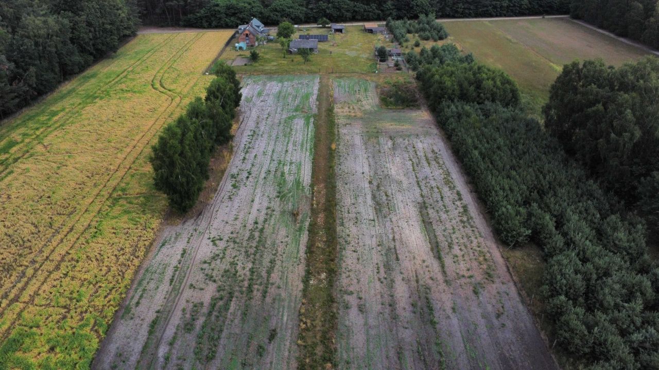 Działka budowlana Brzeziny. Zdjęcie 6