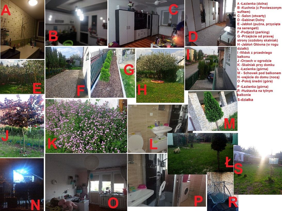 dom wolnostojący Mielec, ul. Wolności. Zdjęcie 9