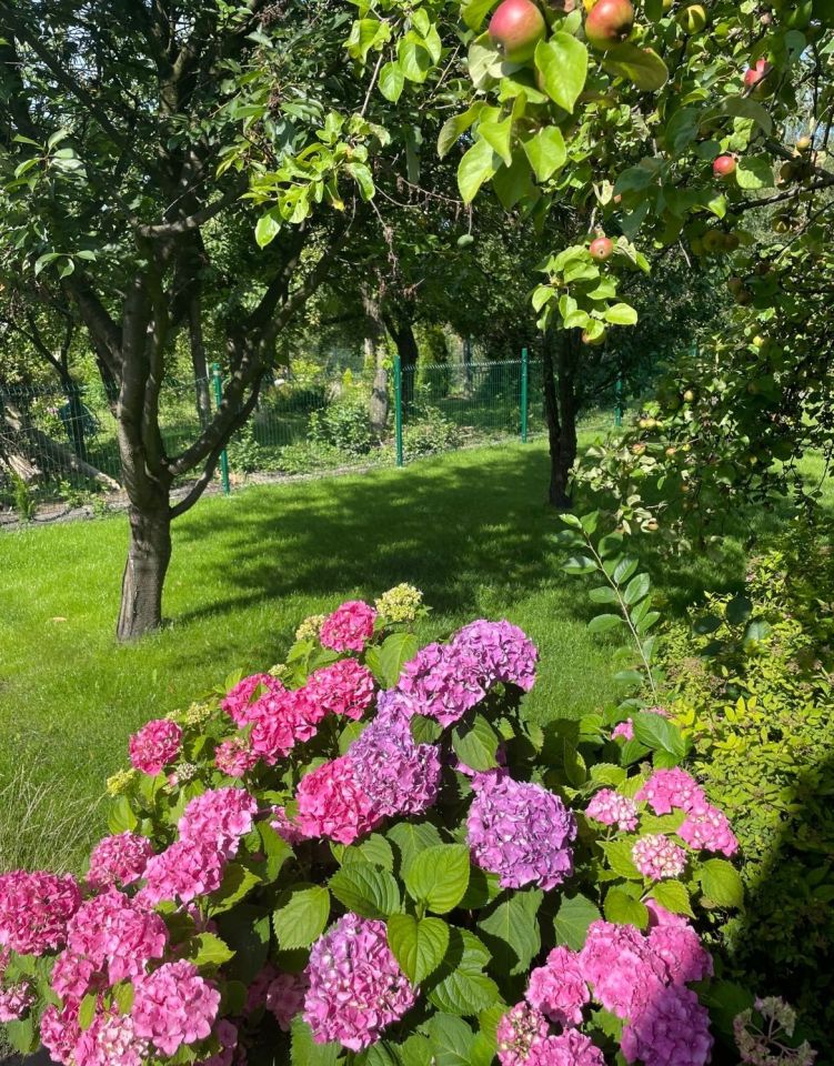 Działka leśna Chorzów. Zdjęcie 6