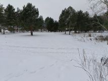 Działka budowlana Szramowo. Zdjęcie 2