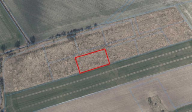 Działka rolna Będargowo. Zdjęcie 1